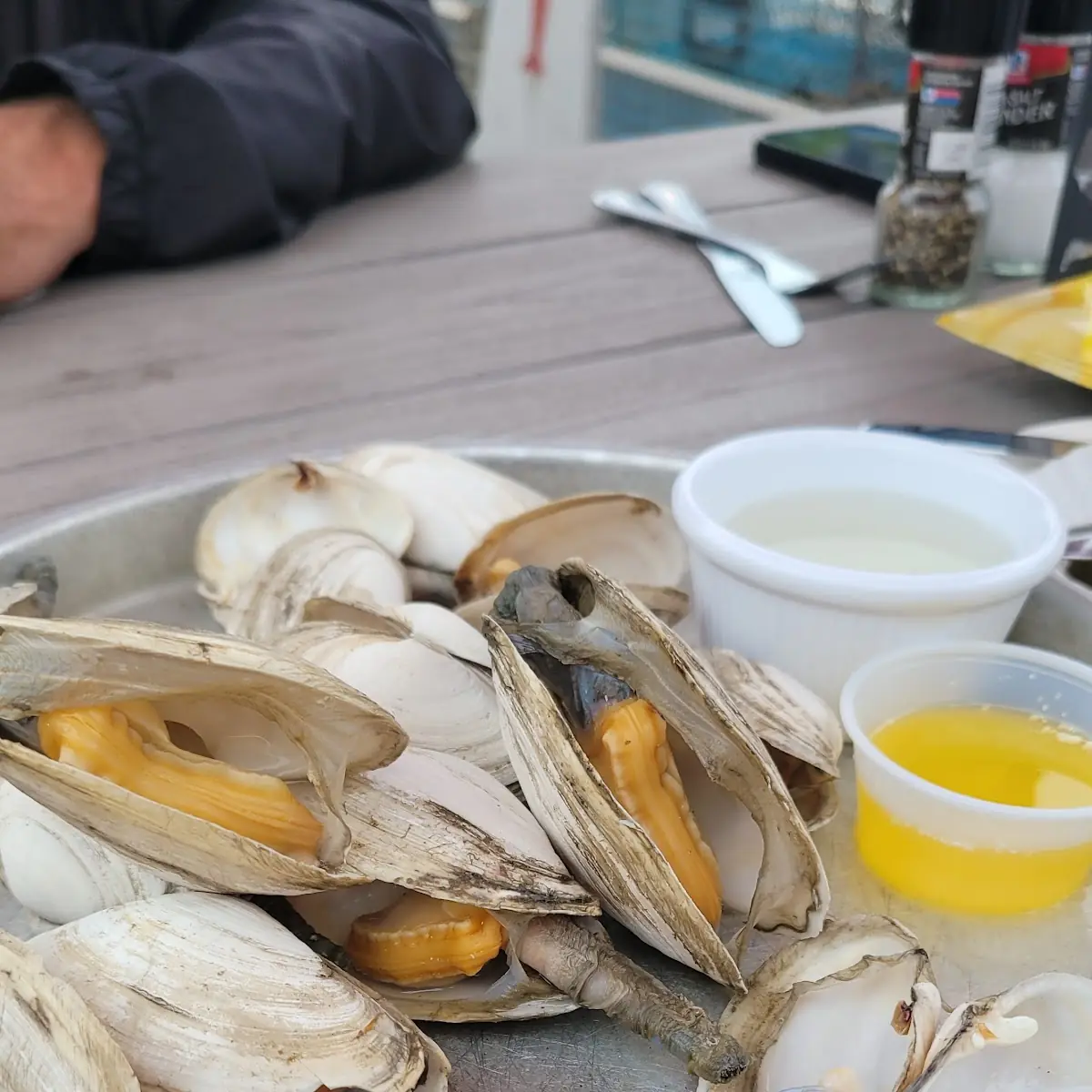 Soft Shell Clam