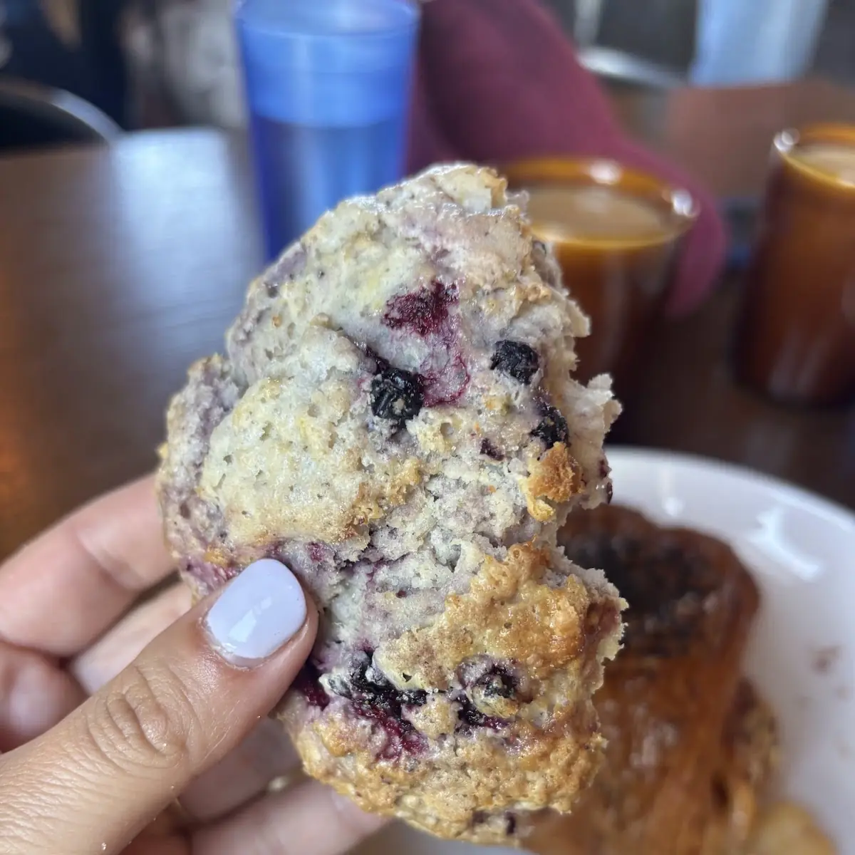 Blueberry Muffin