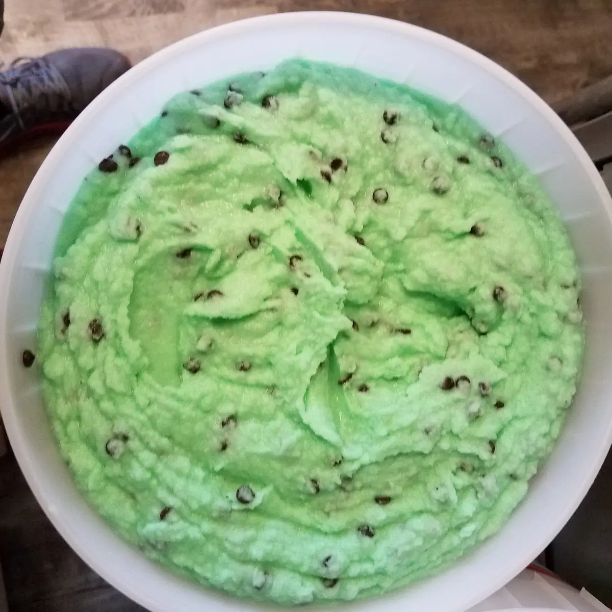Homemade Mint Chocolate Chip Water Ice