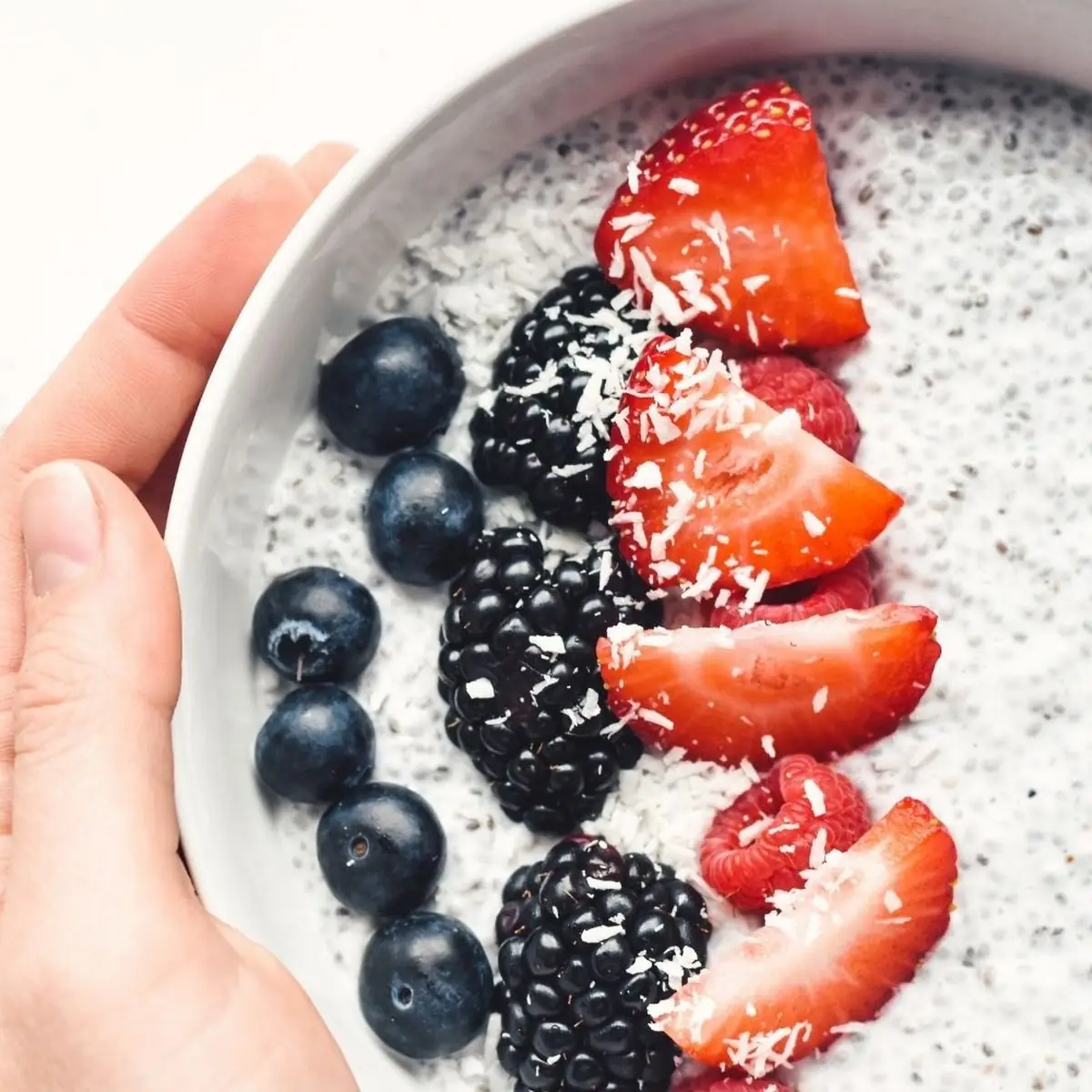 Chia Seed Pudding Breakfast Bowl