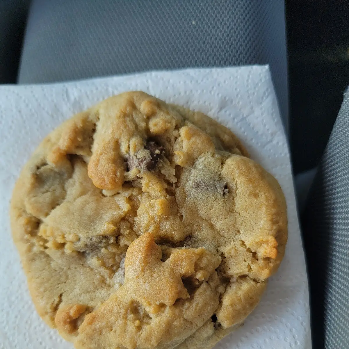 Milk Chocolate Chip Cookie