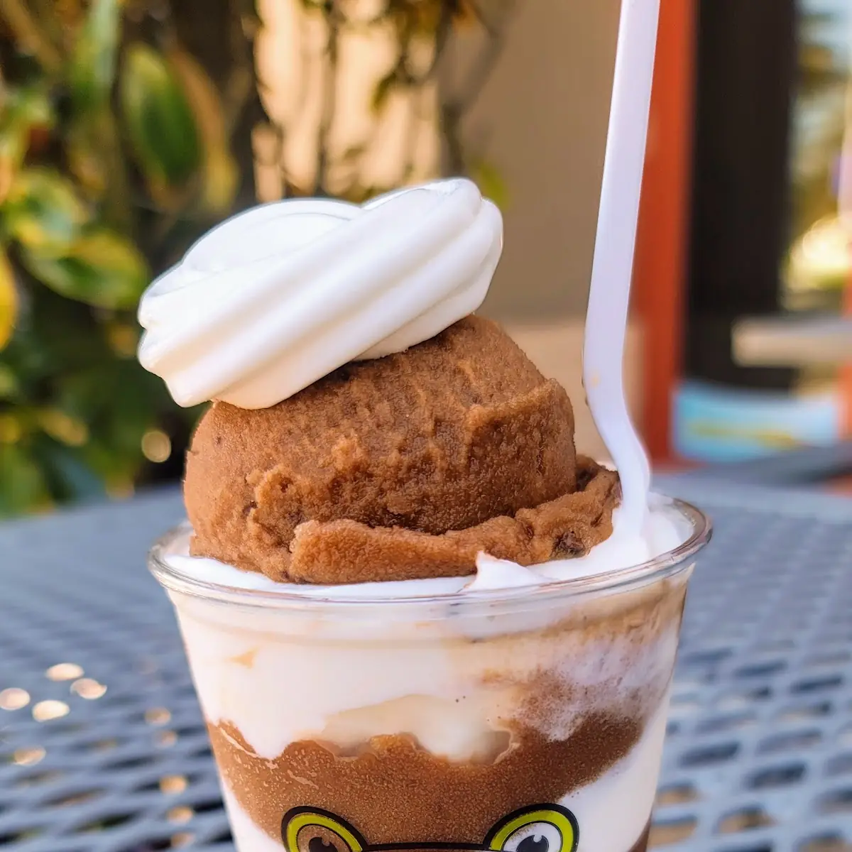 Vanilla Ice Cream Chocolate Ice