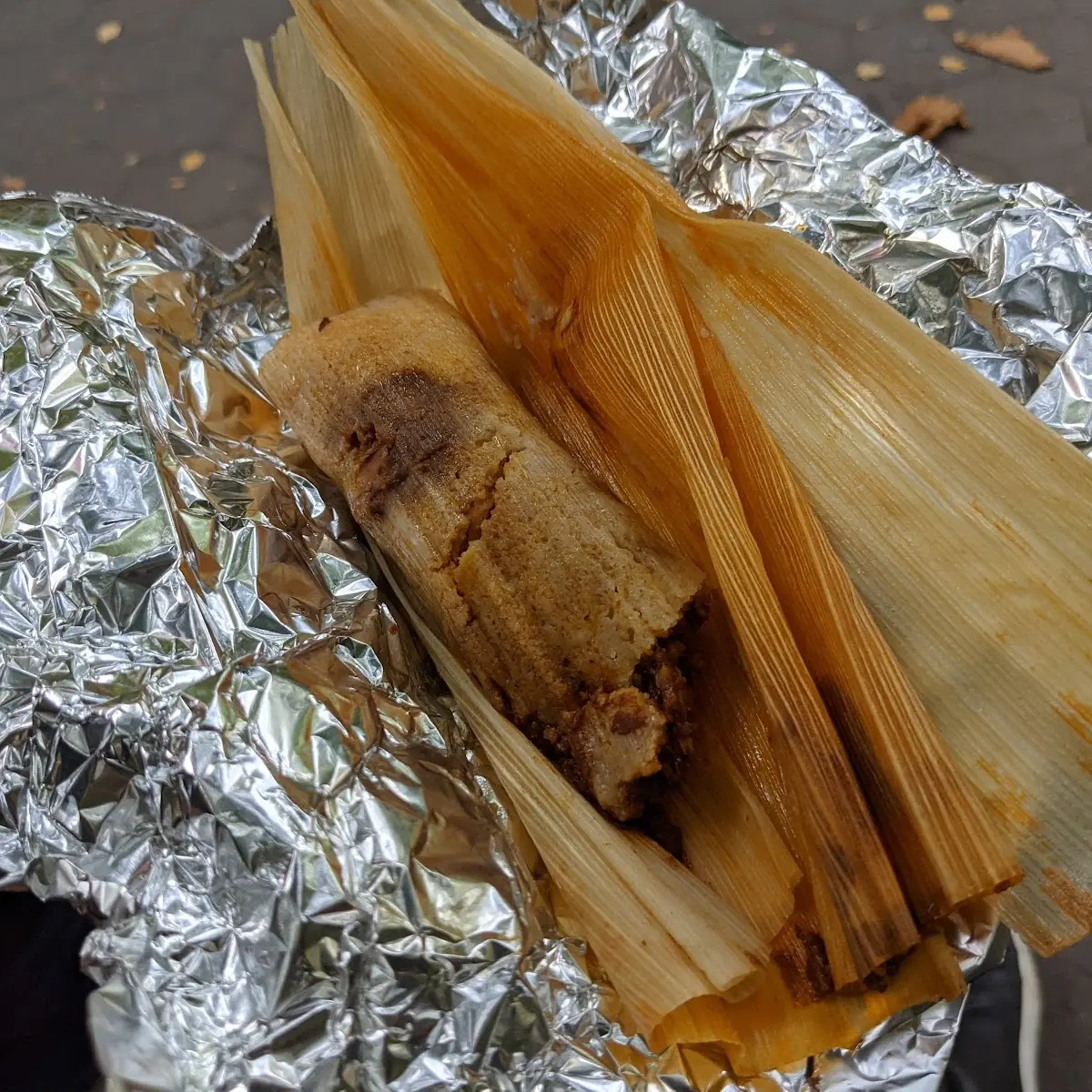 Mole Poblano with Chicken Tamal