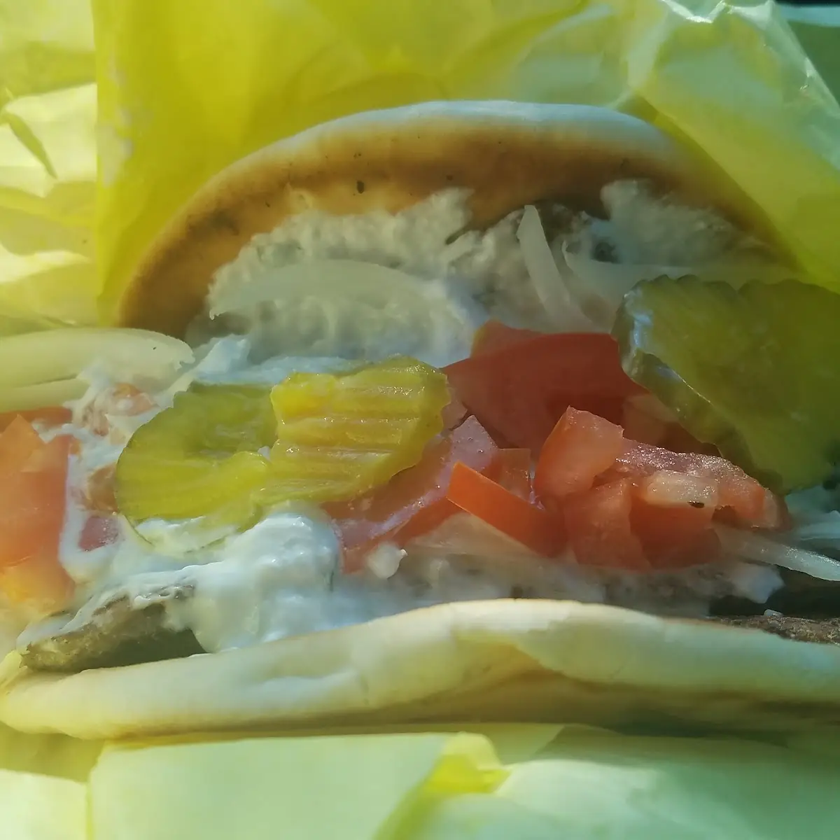 Gyro Sandwich