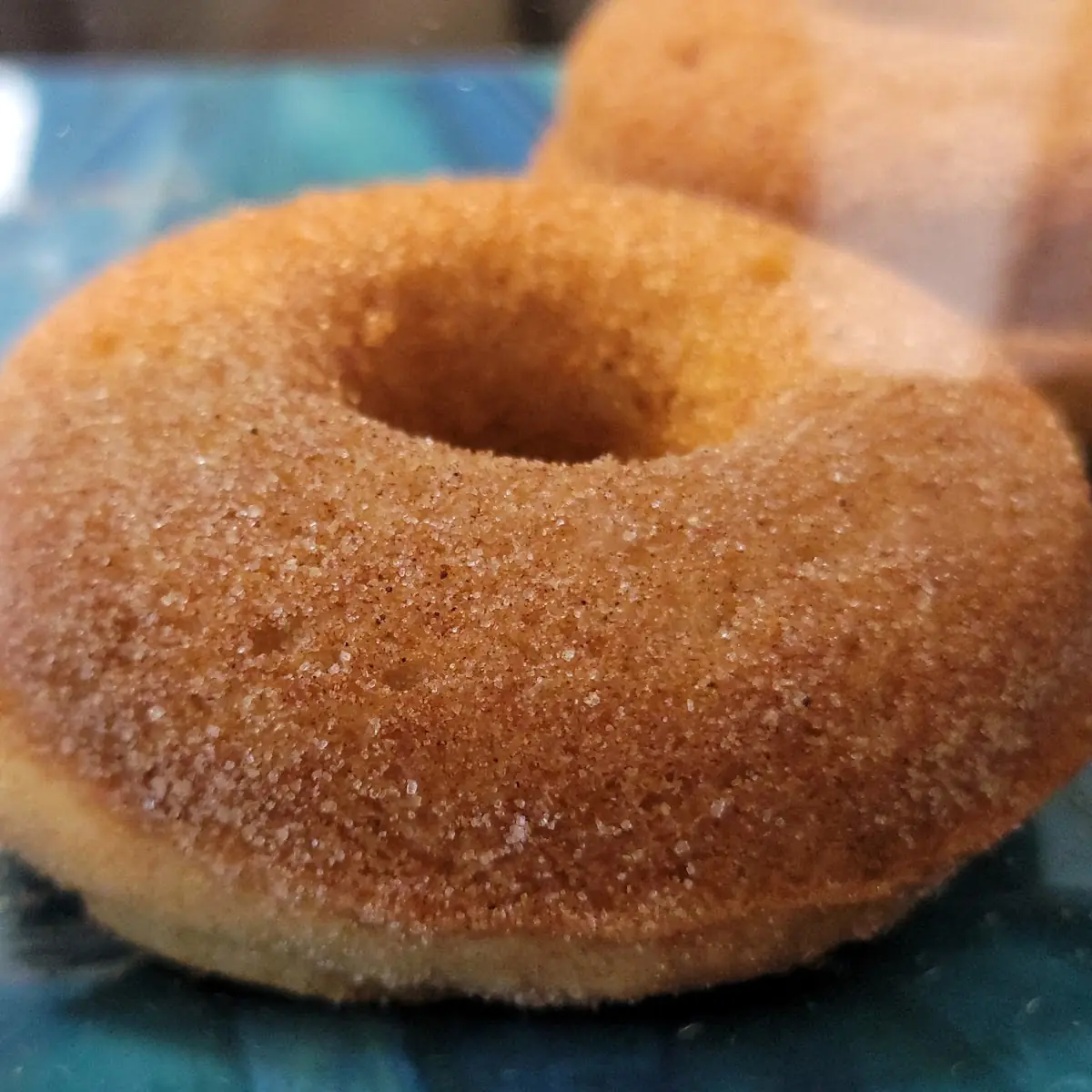 Cinnamon Donut