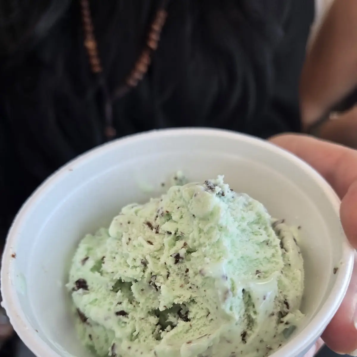 Mint Chocolate Chip