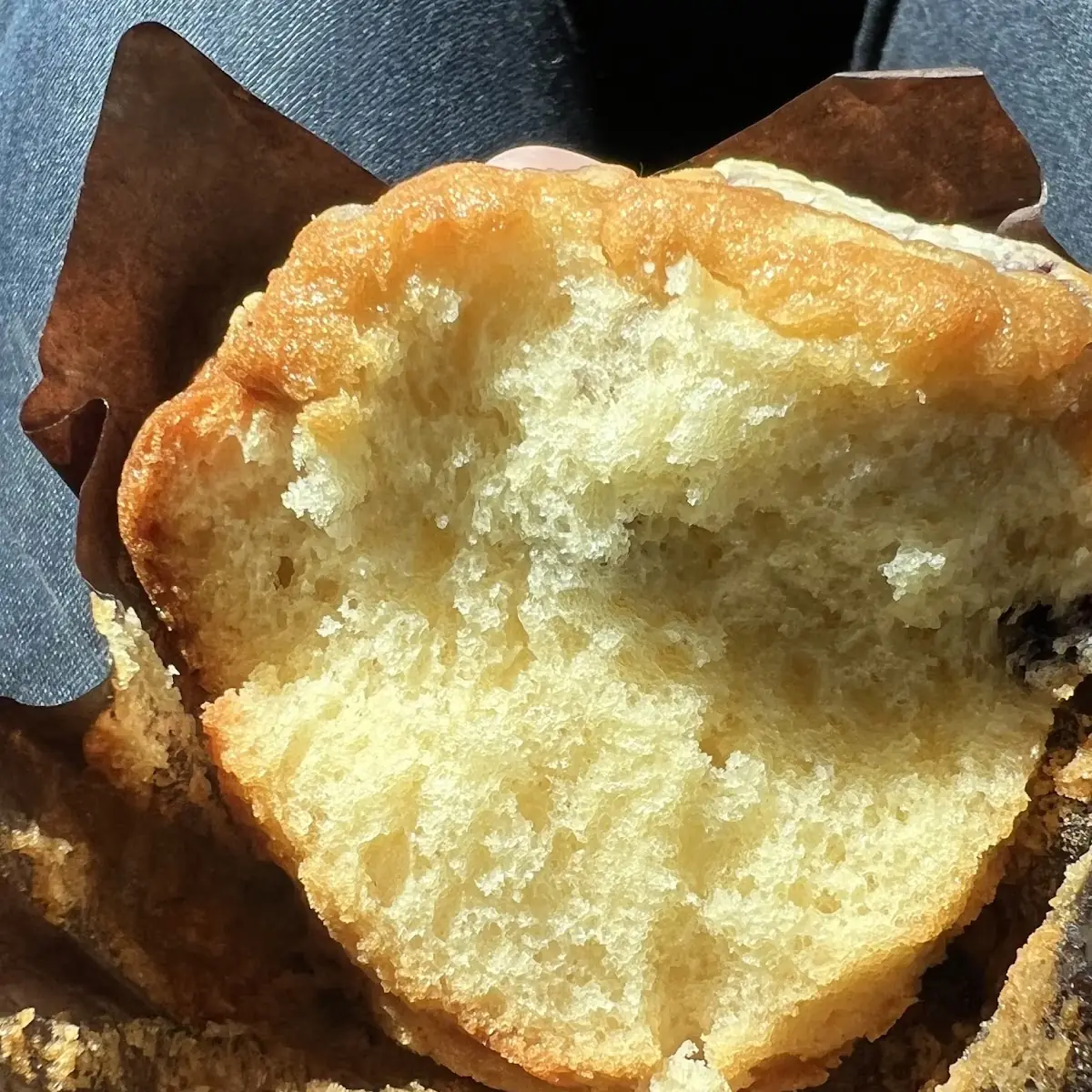 Blueberry Muffin