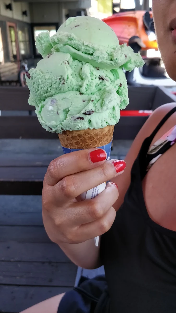 Mint Chocolate Chip