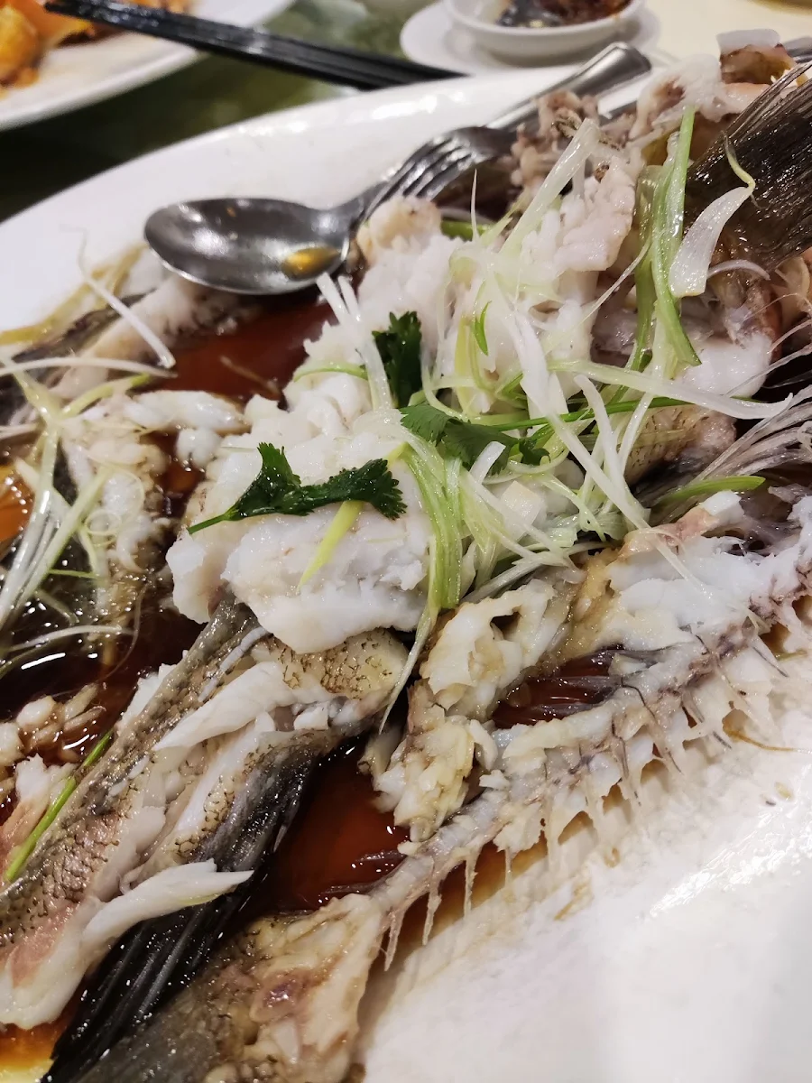 Steam Fish, Golden Paramount Seafood Restaurant