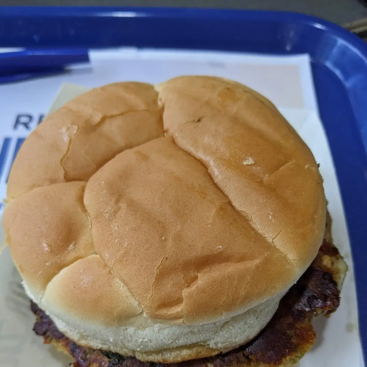 Vegetarian Burger