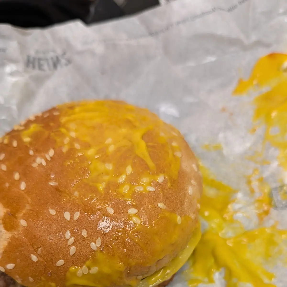Double Hamburger