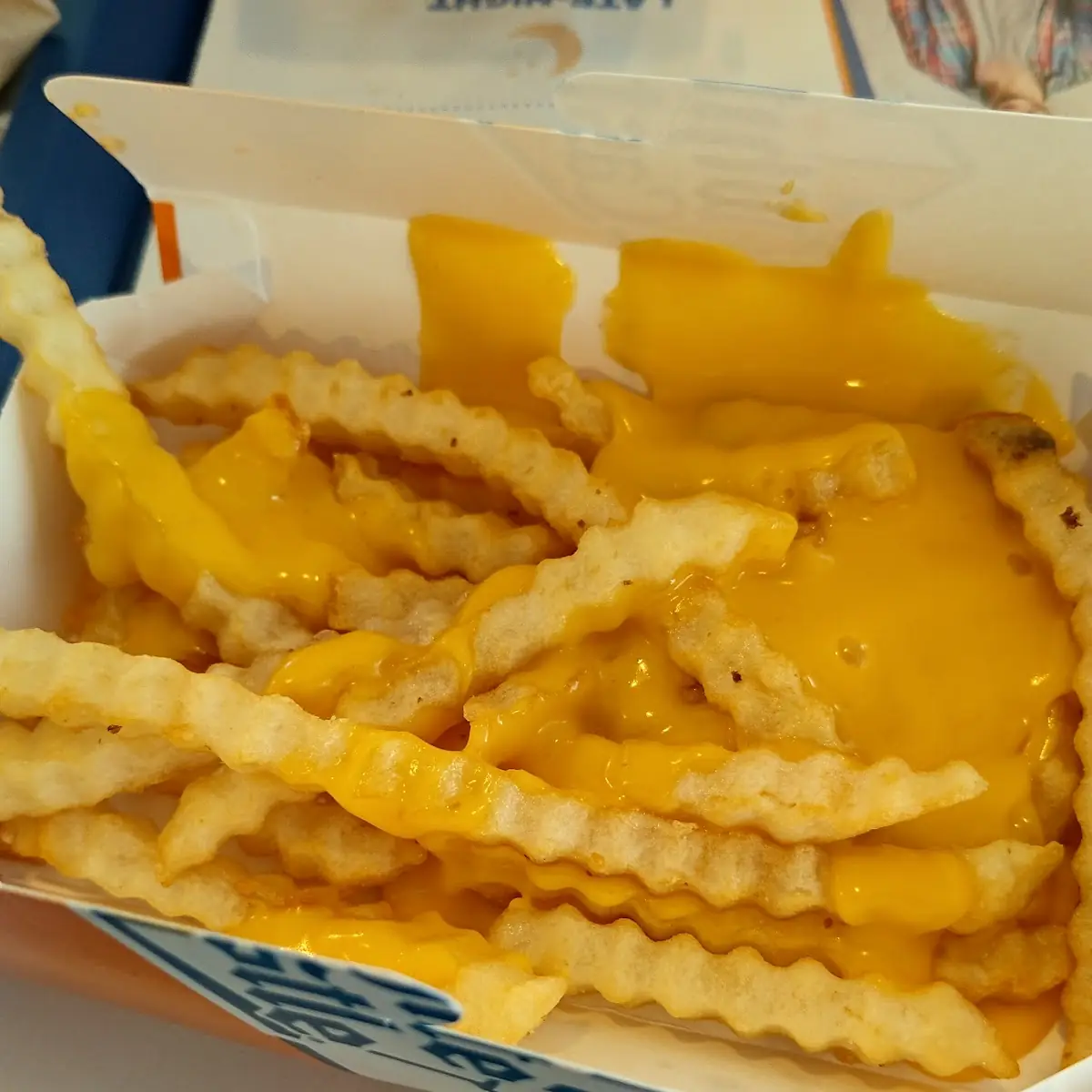 Cheese Fries
