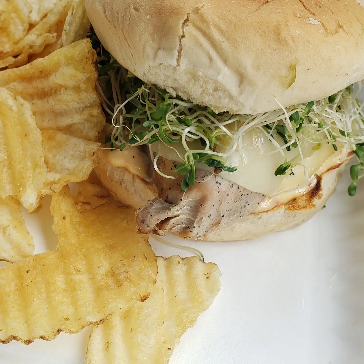 Chicken Sandwich