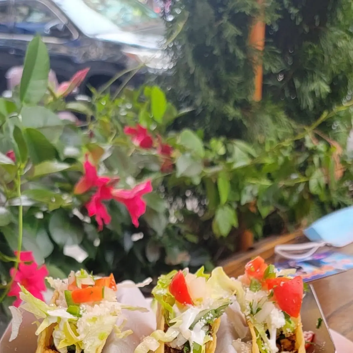 Tacos De Pastor Hard Shell Taco