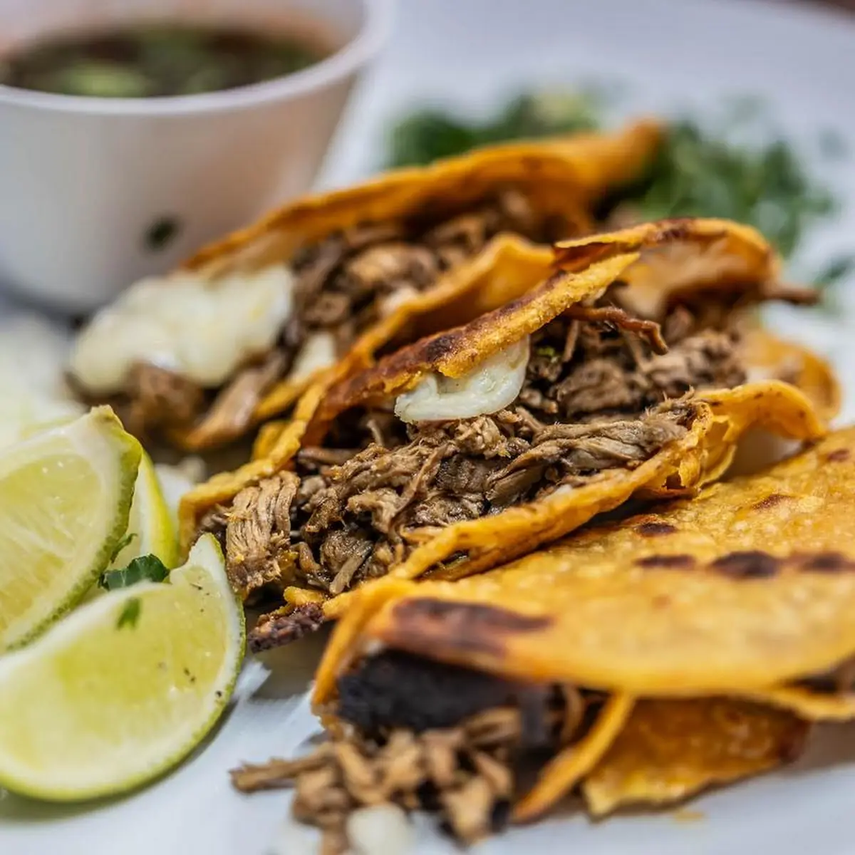 Solo Birria Taco