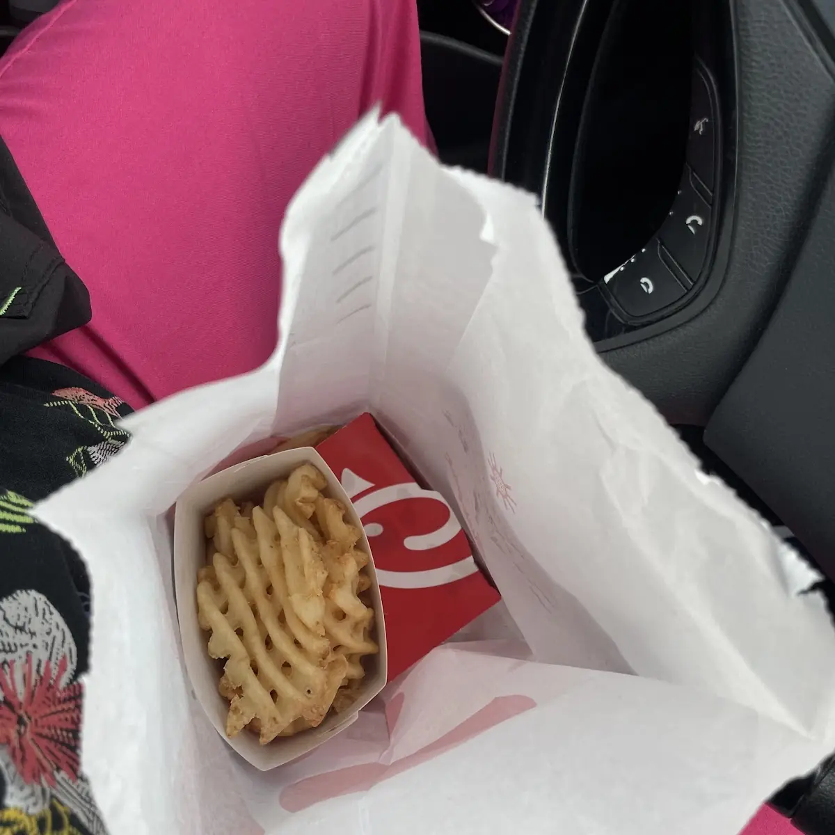 Chicken Biscuit