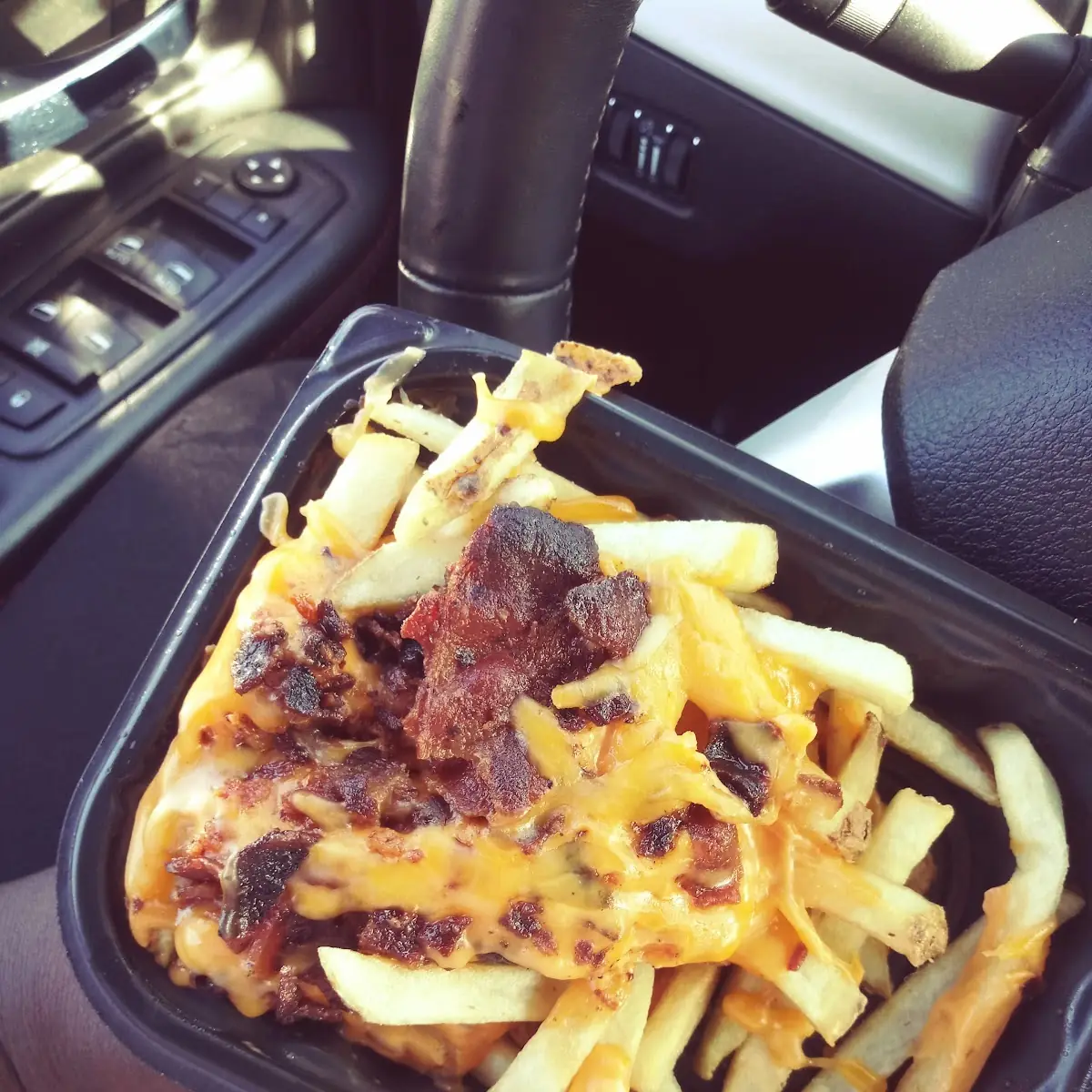 Loaded Bacon Cheese Fries