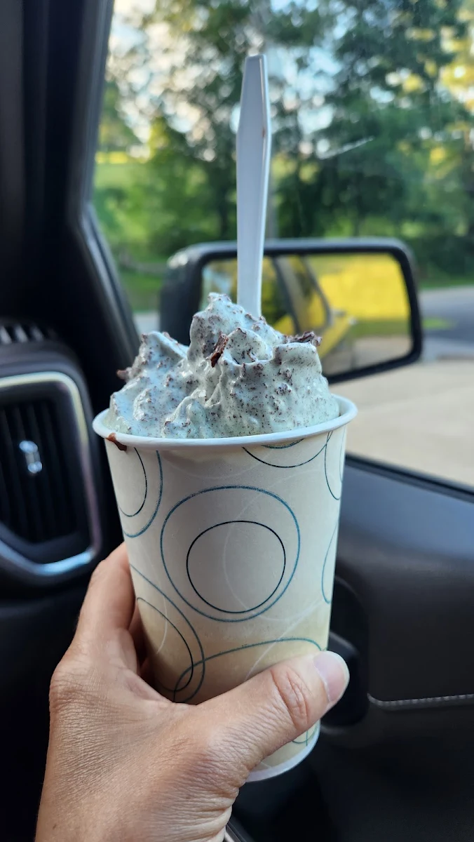 Mint Chocolate Chip Snowflake