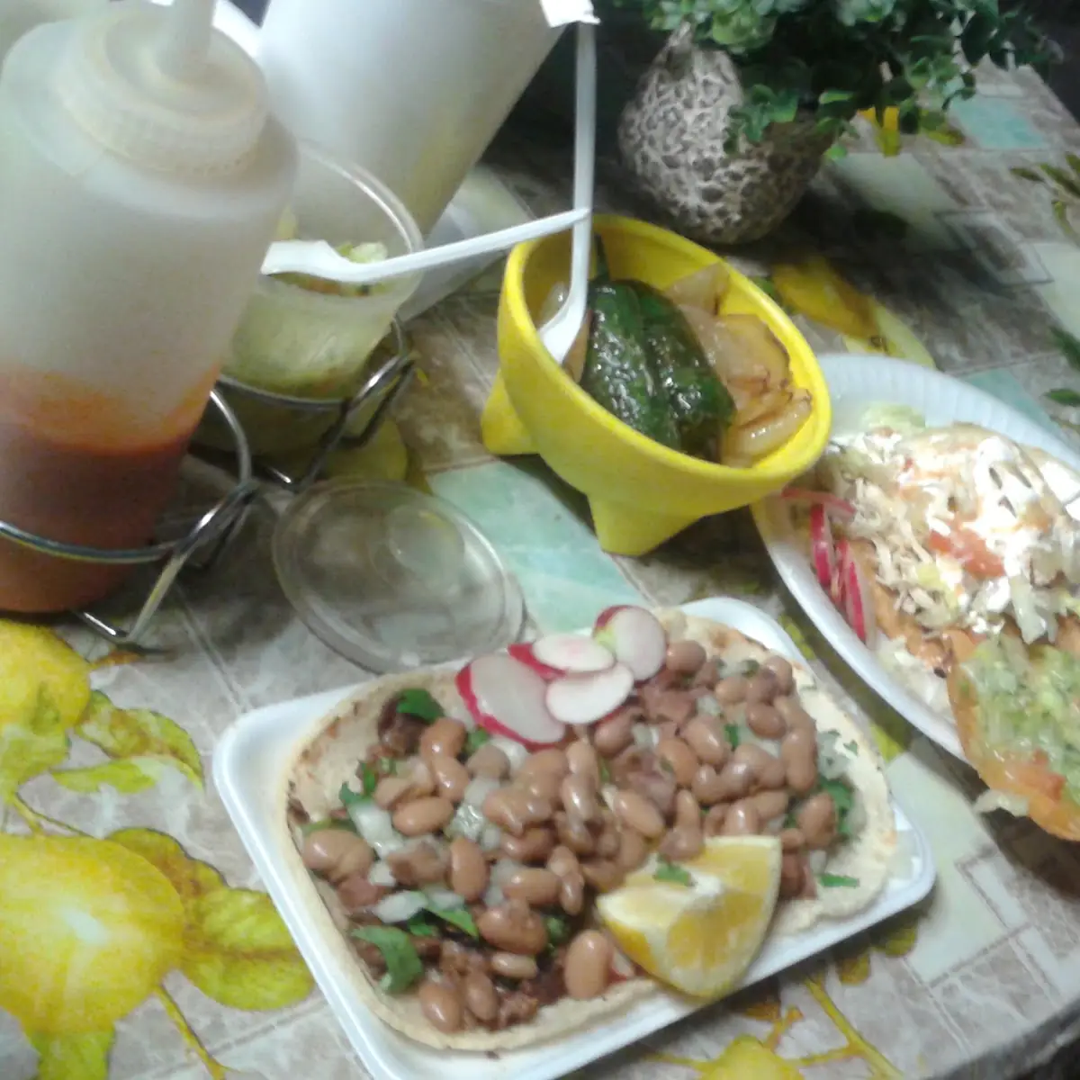 Ceviche
