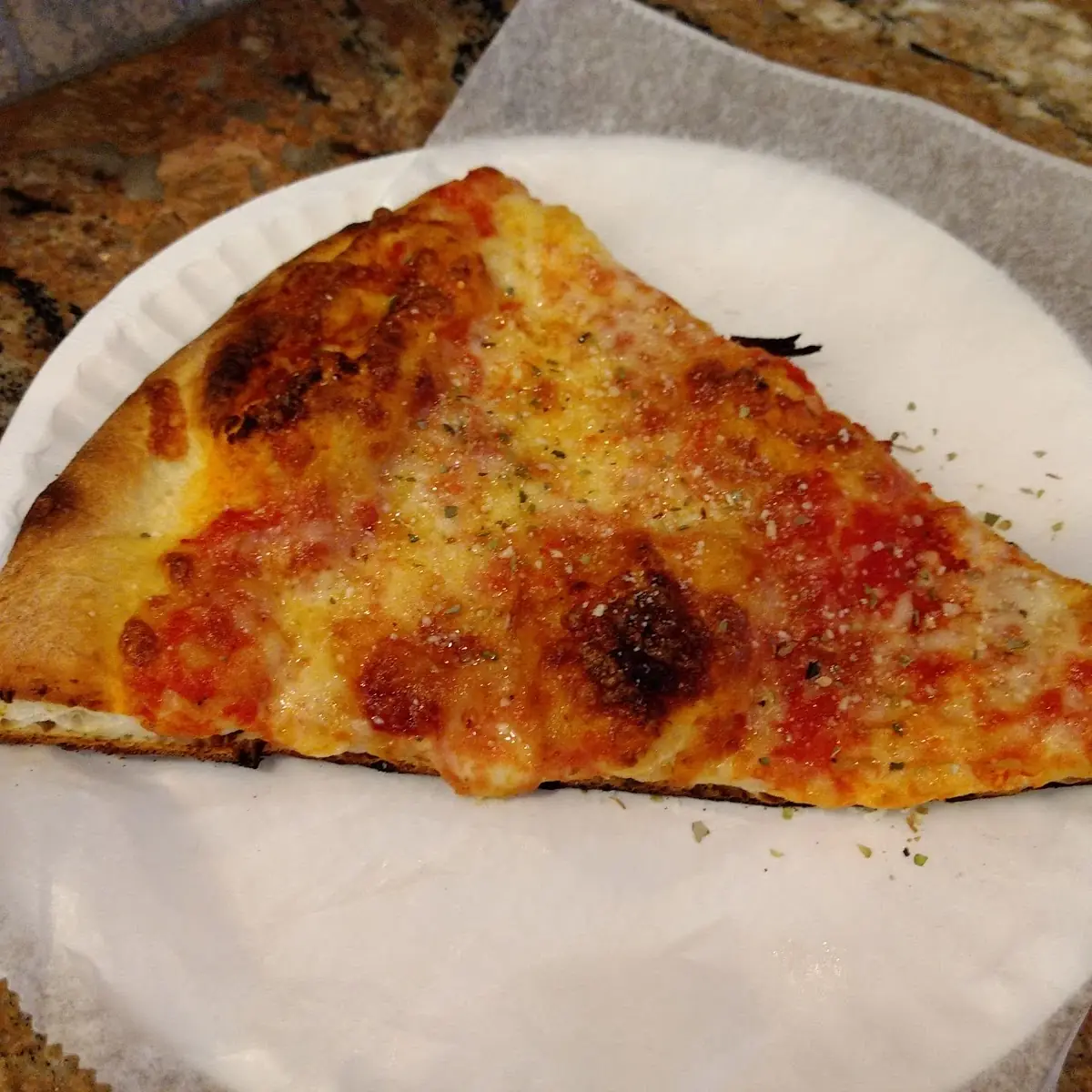 Plain Mozzarella Cheese Pizza