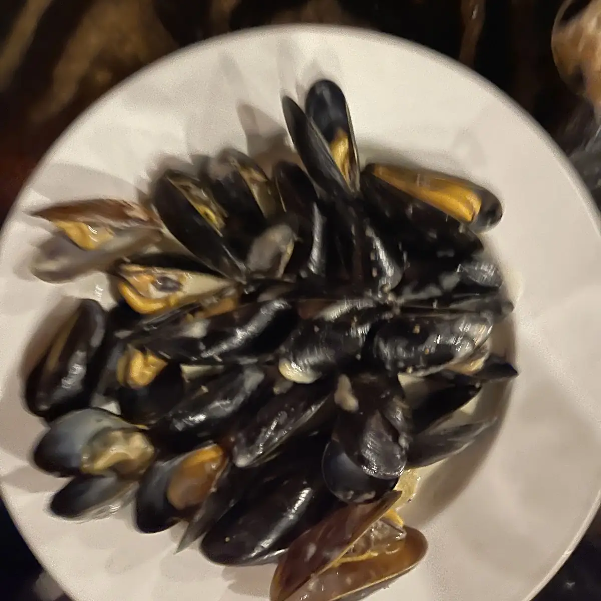 Steamed Mussels