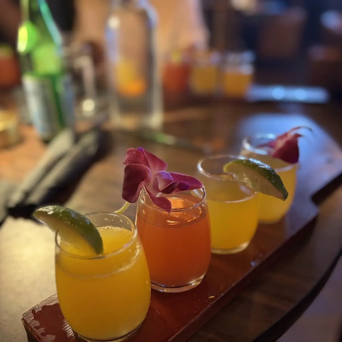 Mimosa Flight