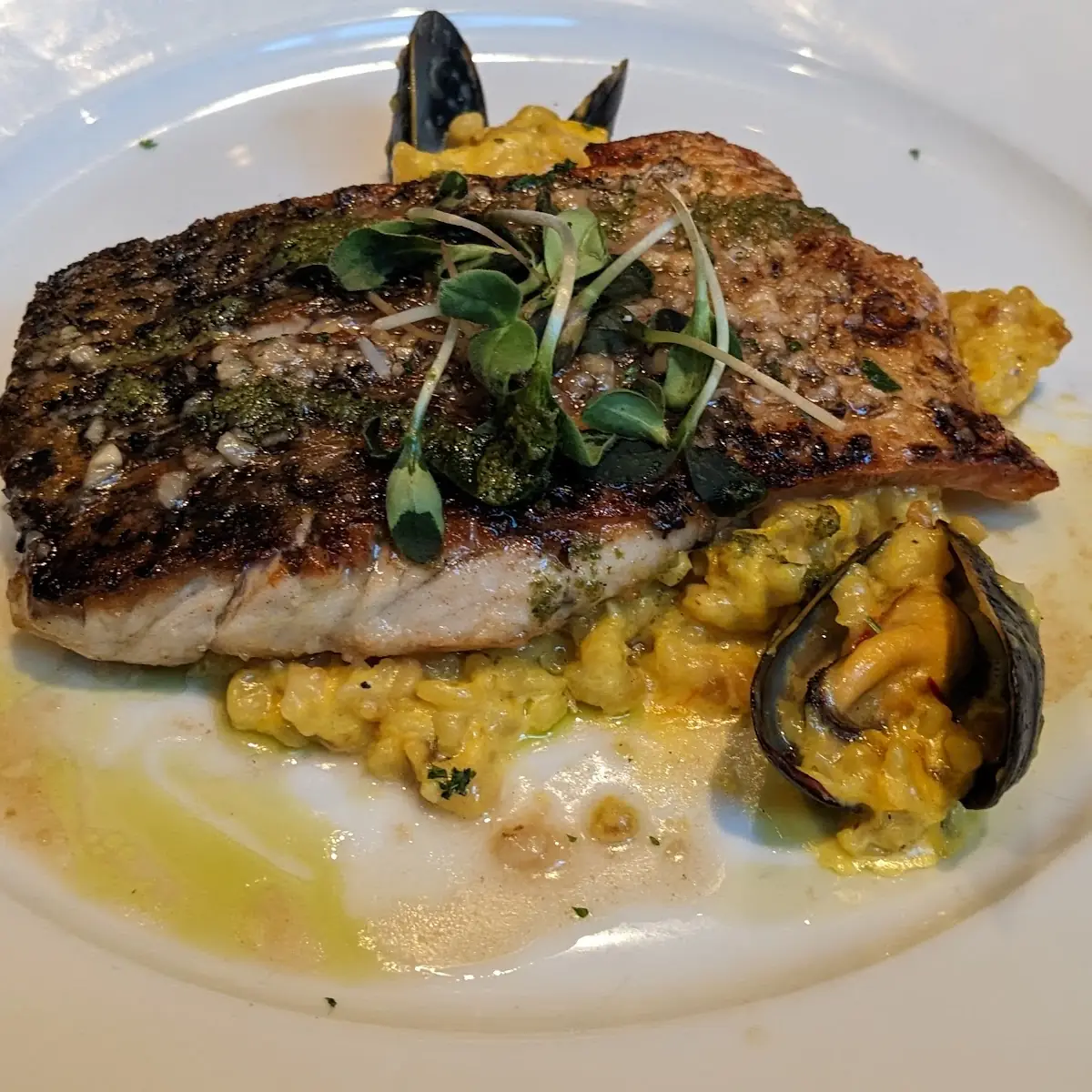 Sea Bass