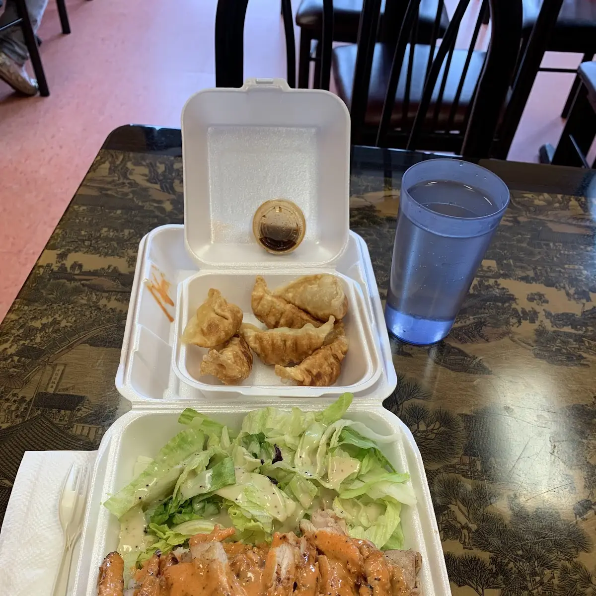 Spicy Chicken Fried Rice and Gyoza