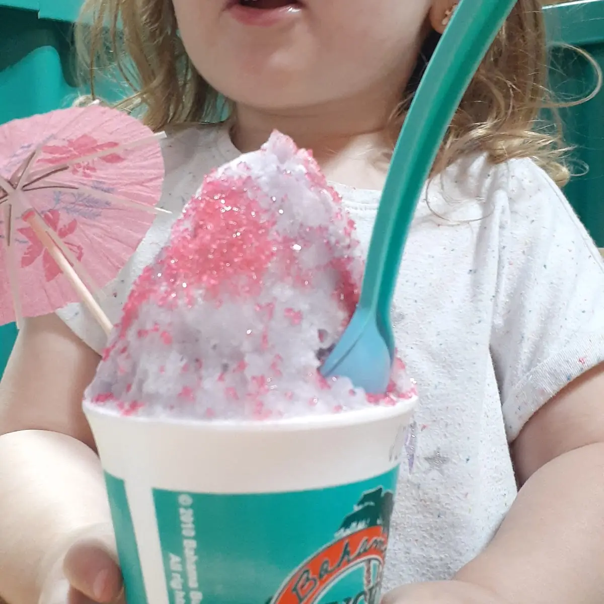Party Bundle Sno Snoballs