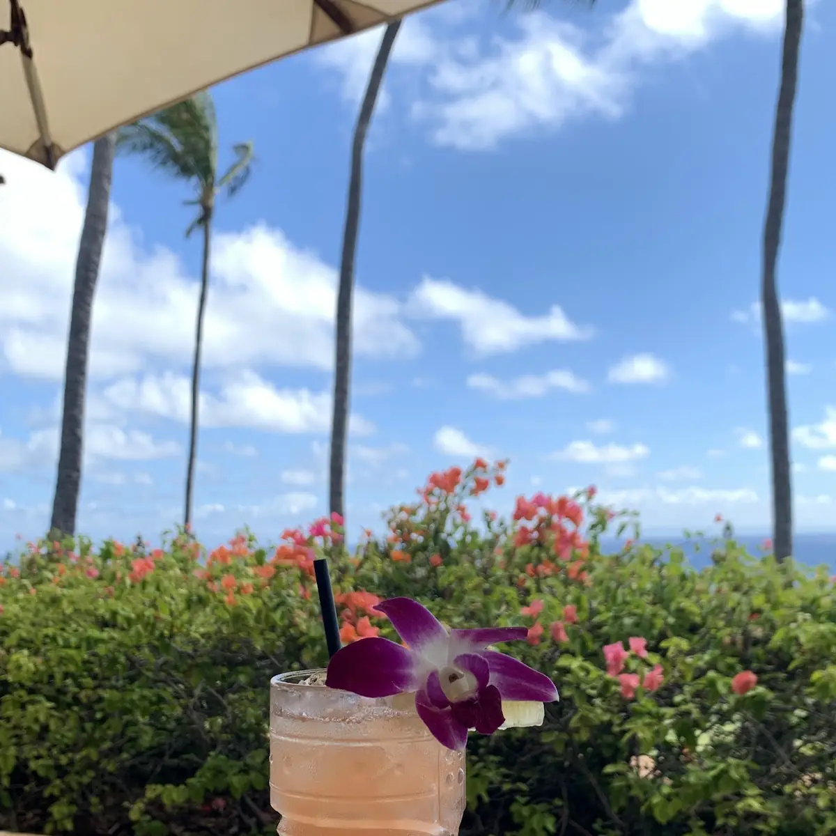 Mango Passion Fruit Guava