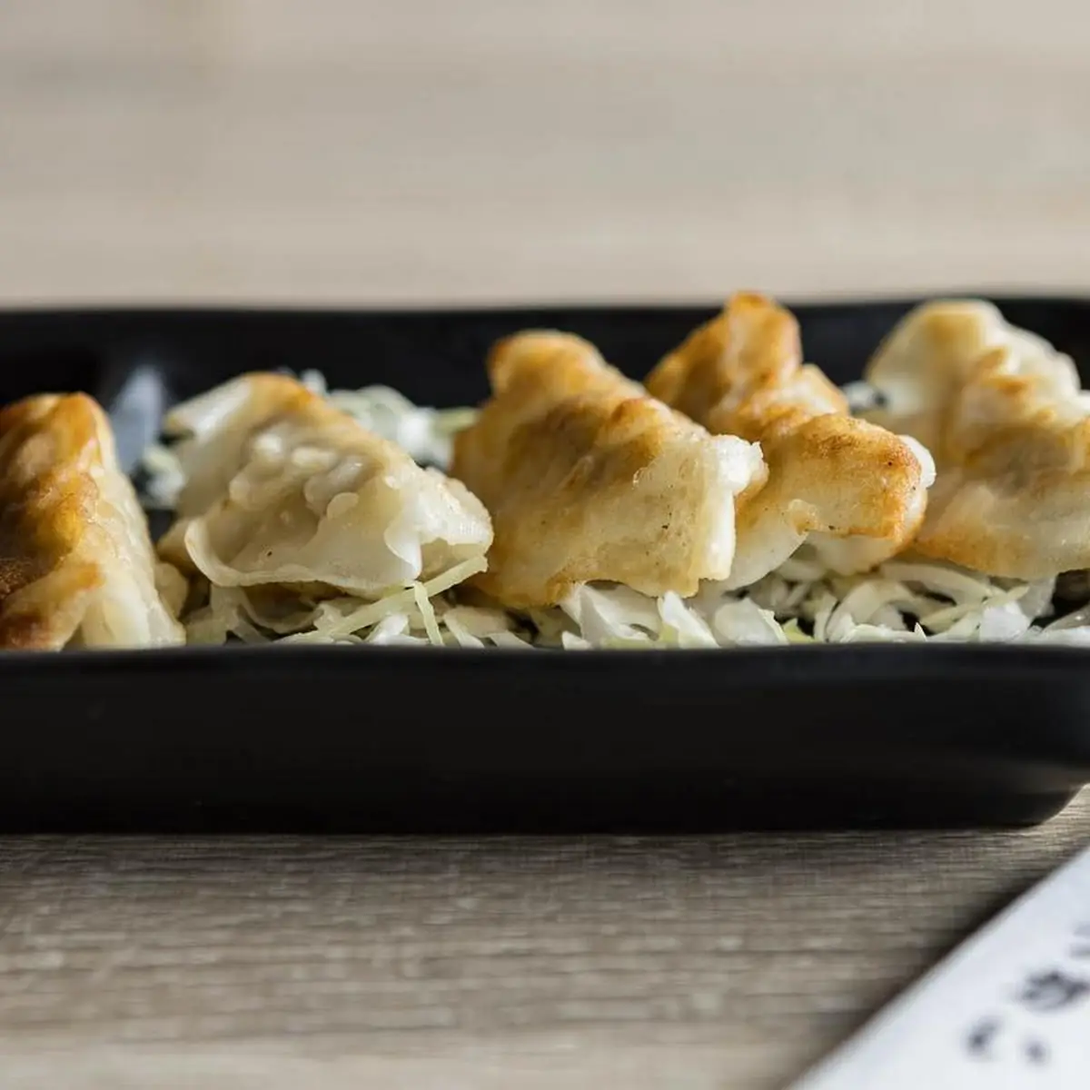 Gyoza V