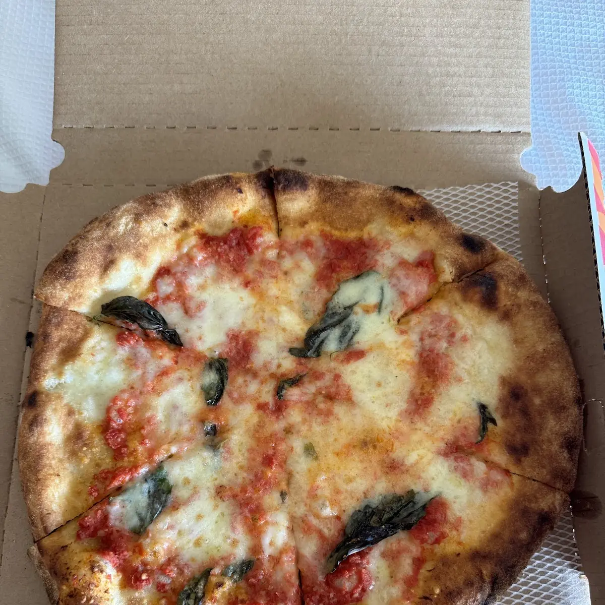 Pizza Margherita