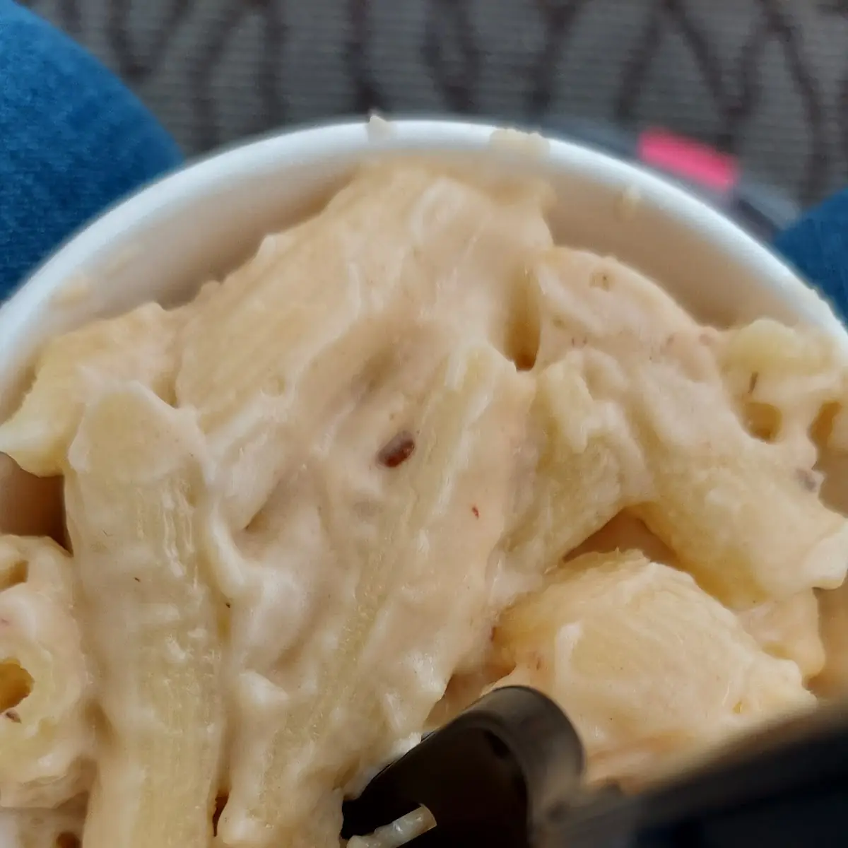 Penne Pasta with Cheese Sauce