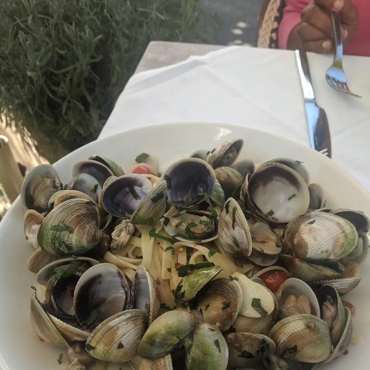 Linguine Vongole