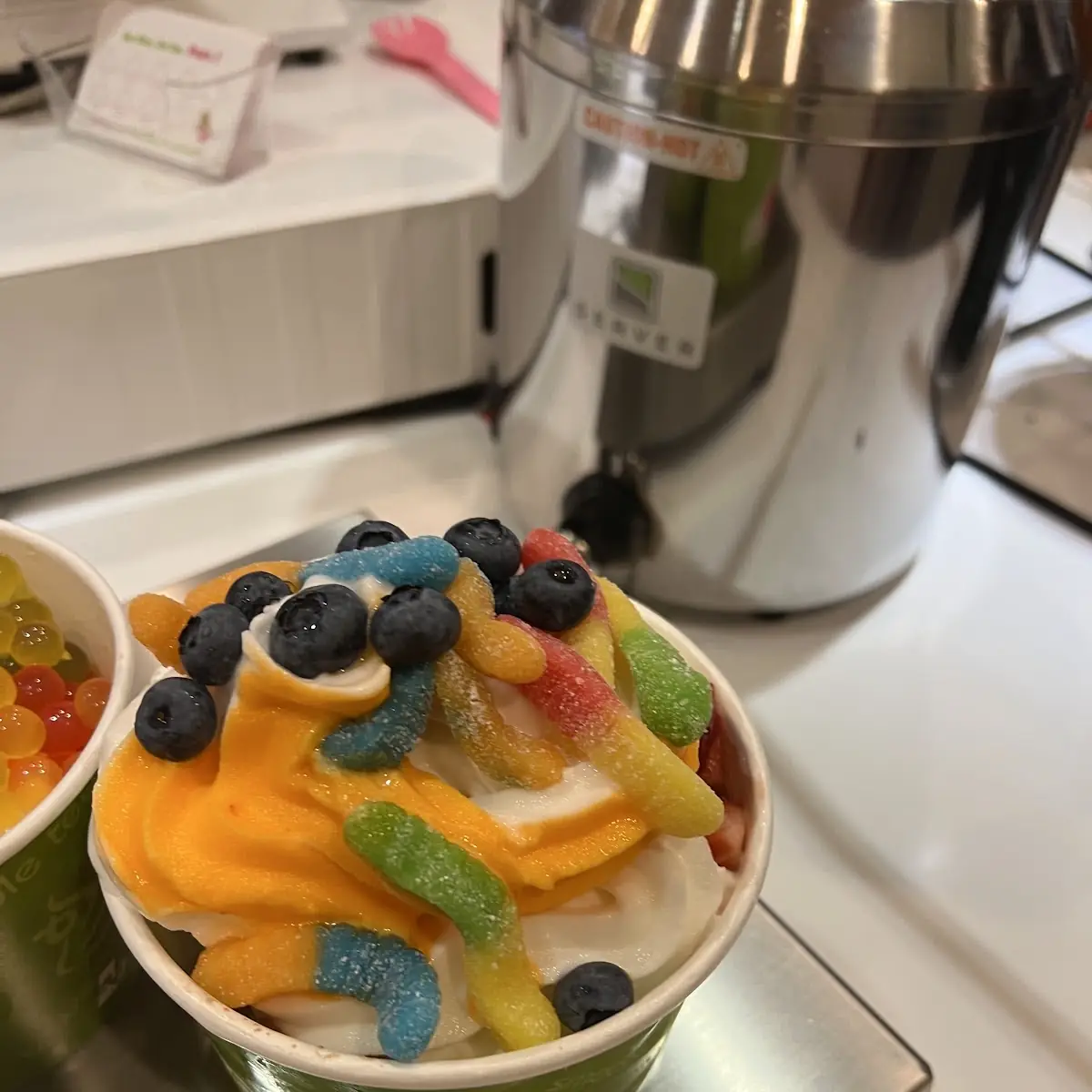 Frozen Yogurt and Granola