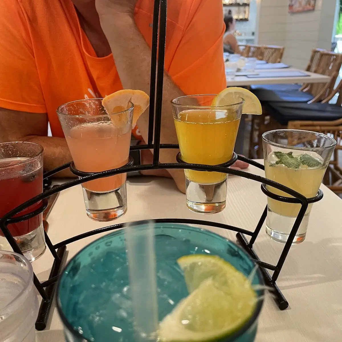 Rainbow Mimosa Flight