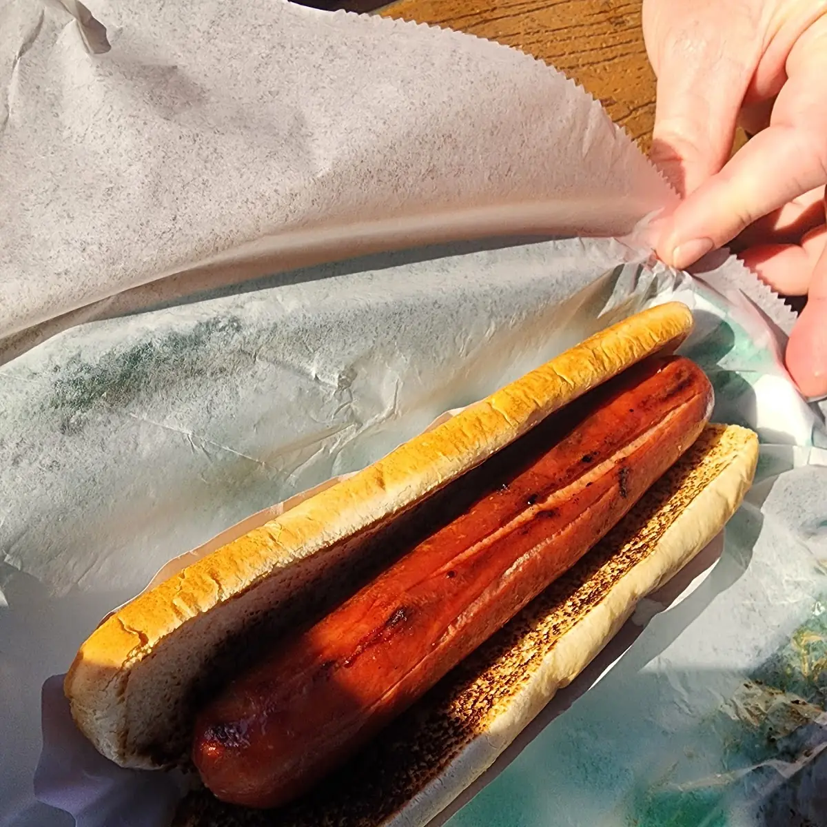 Grilled Hot Dog