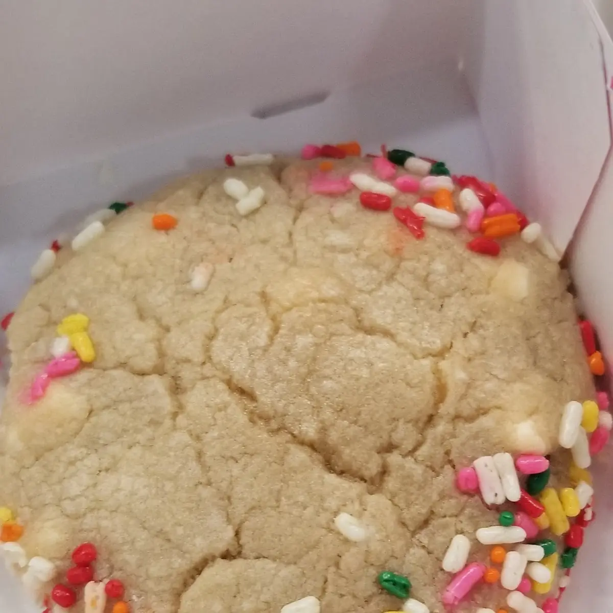 Sugar Cookie
