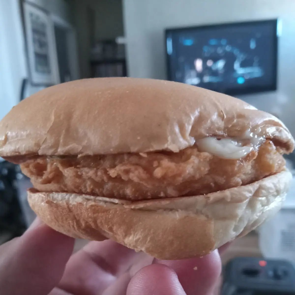Chicken Sandwich Only