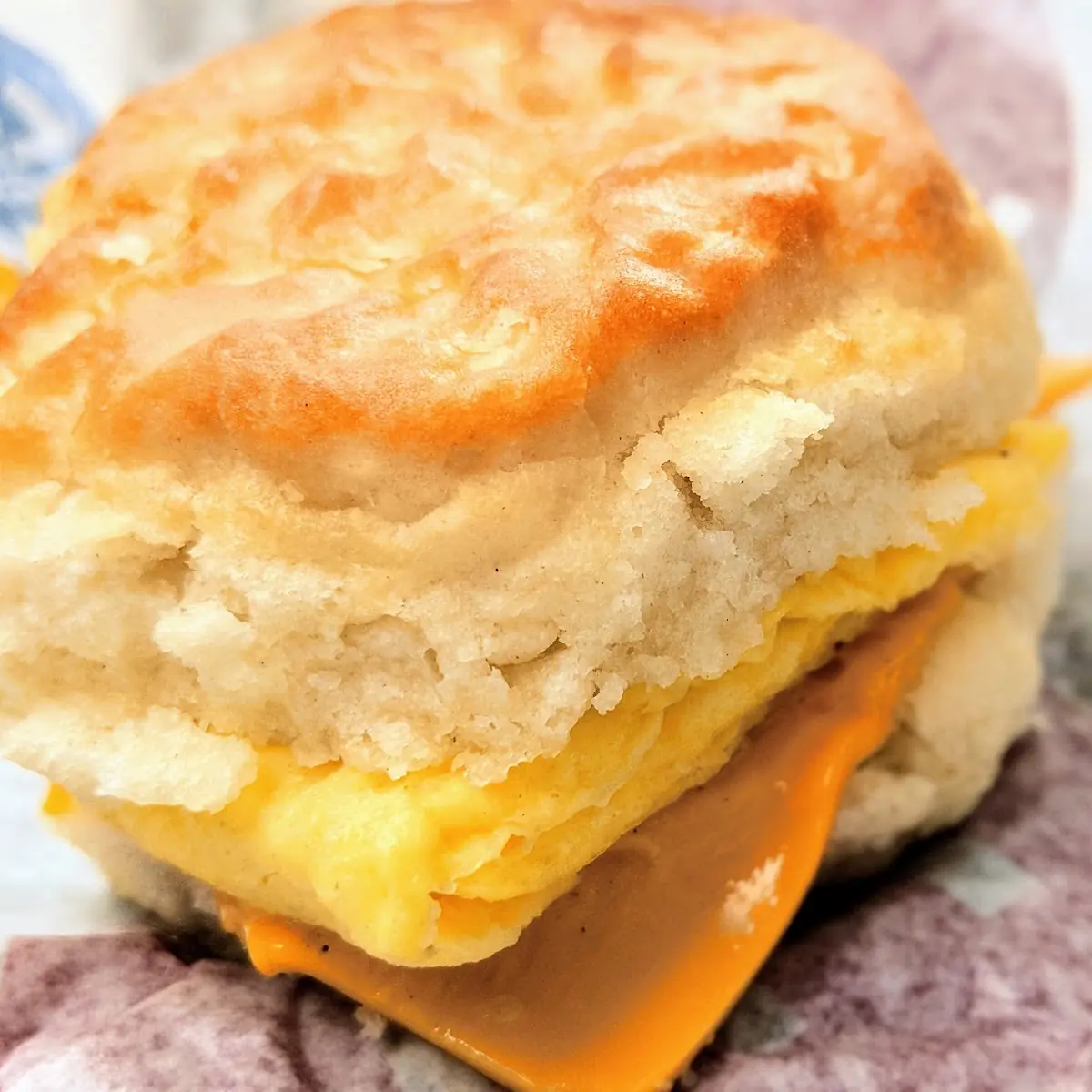 Egg Cheese Biscuit