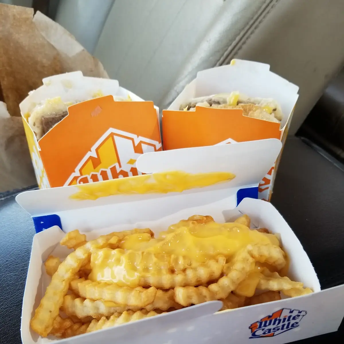 Double Cheeseburger with Cheese Fries