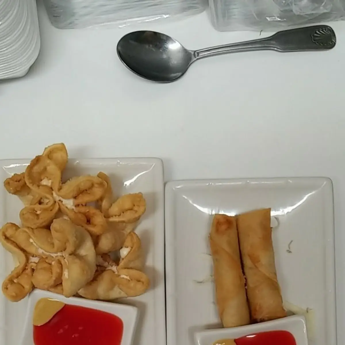 Fried Cheese Wonton and Egg Roll