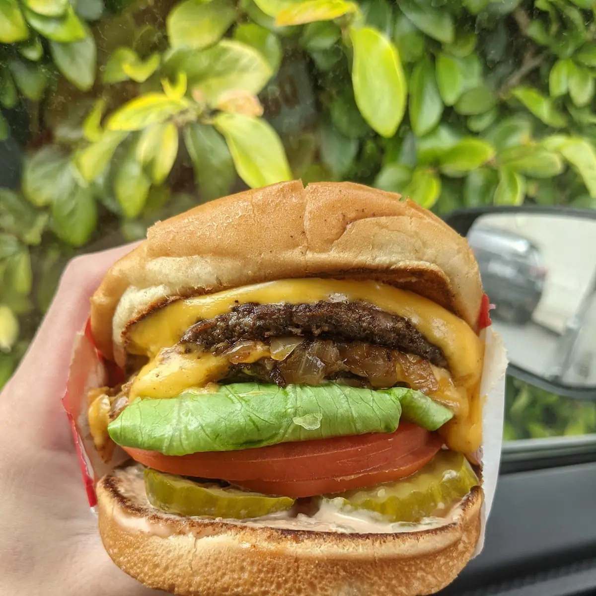 Double Double Cheeseburger Animal Style