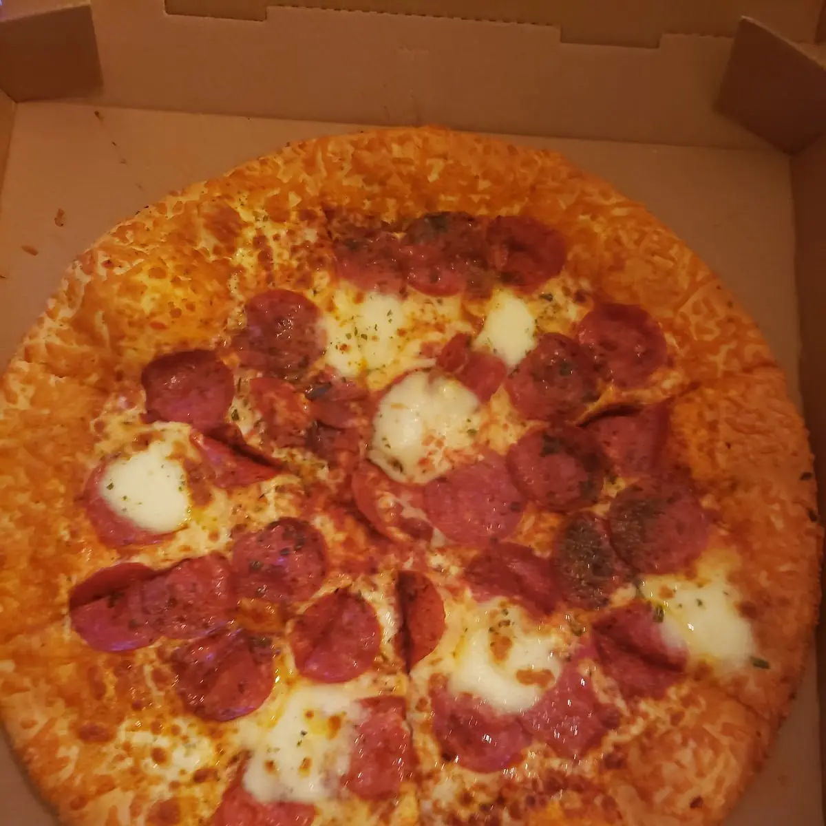 Freshly Made Pizza Supposedly
