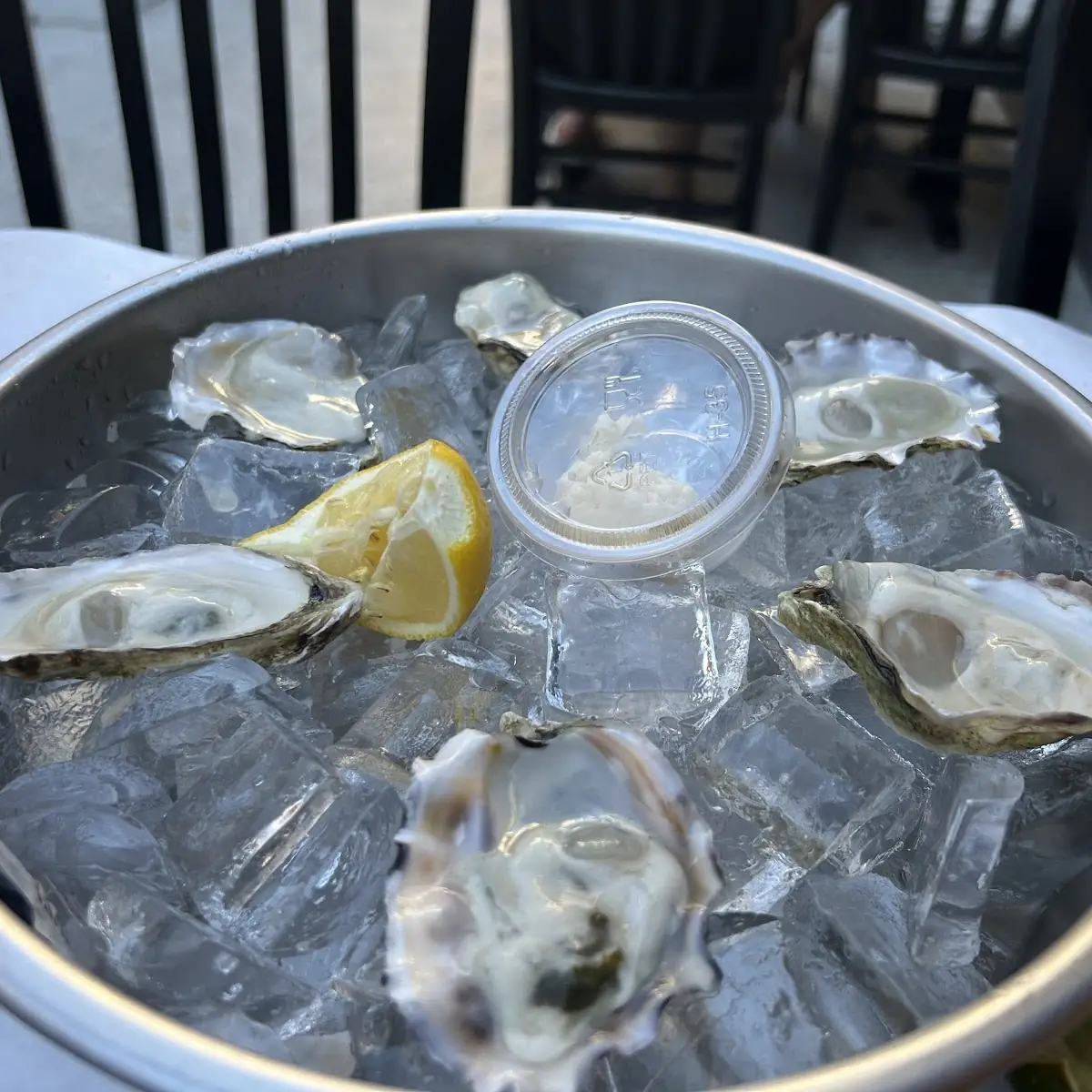 Raw Oysters