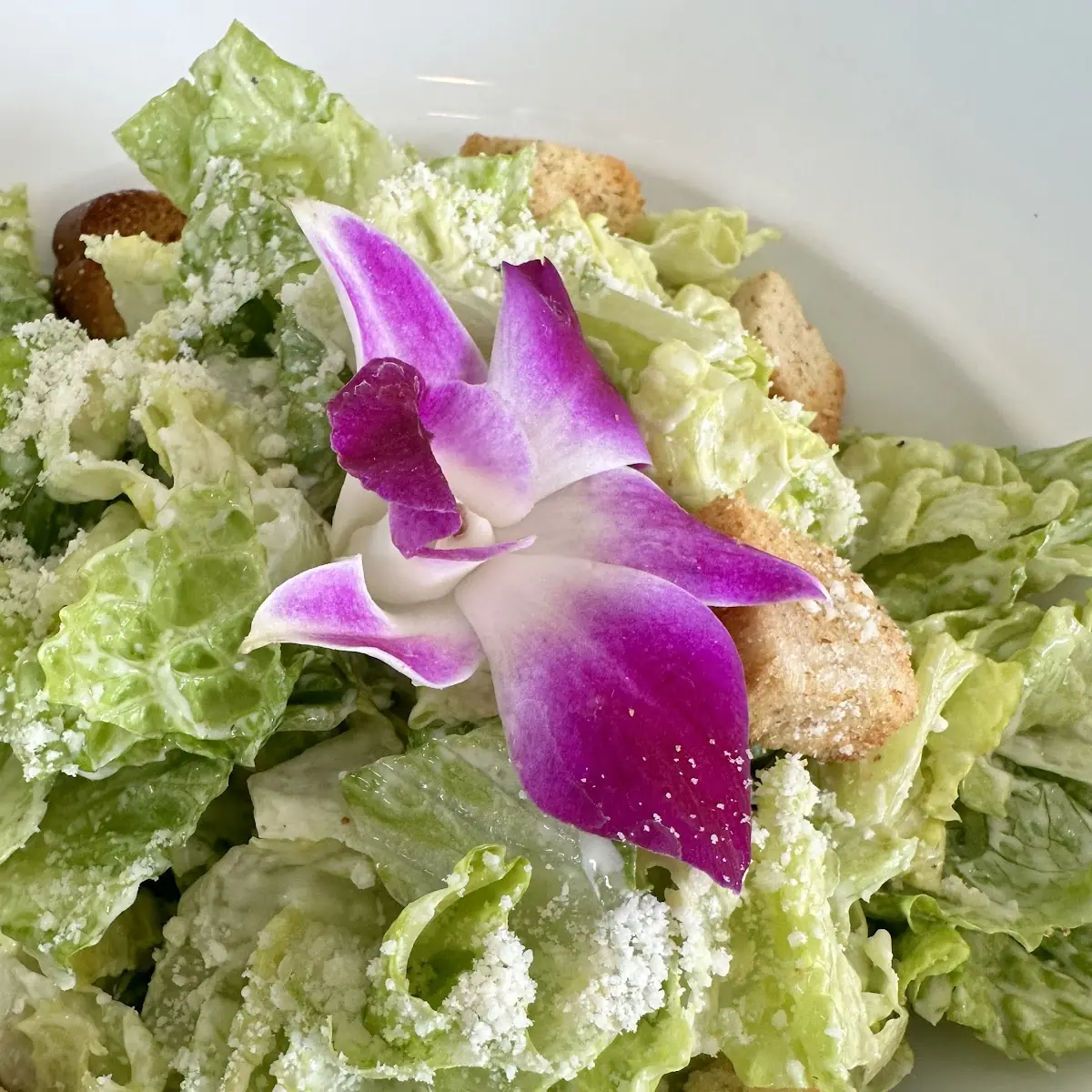 Caesar Salad Pizza