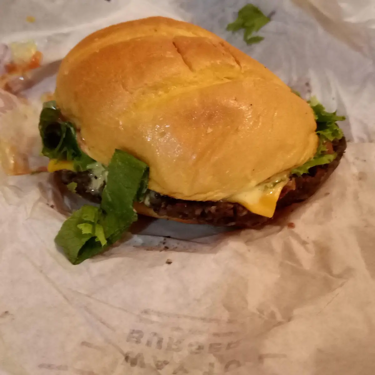 Black Bean Veggie Burger