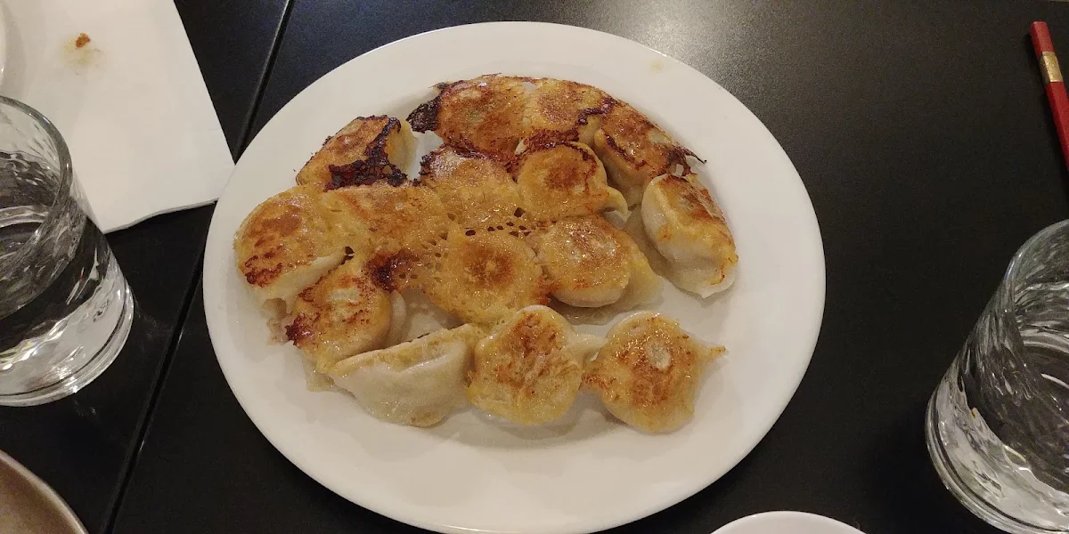 Lamb & Coriander Fried Dumplings