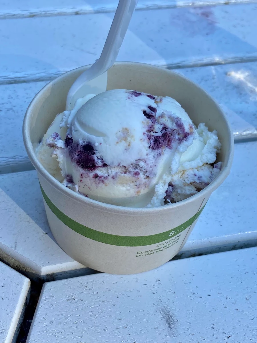 Blueberry Cheesecake
