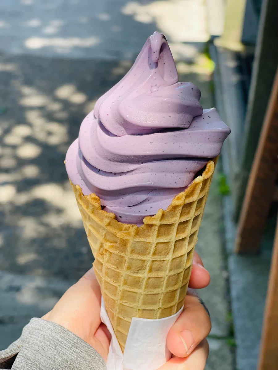 Blueberry Soft Serve Ice Cream
